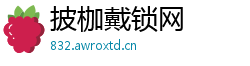 披枷戴锁网